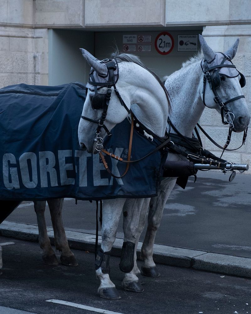 The GORE-TEX&reg; Brand Culinary Series &mdash; Vienna